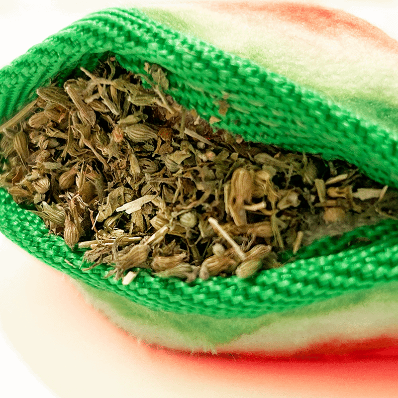 Tuffer Chewer Mini Watermelon Slice Refillable Dog Toy
