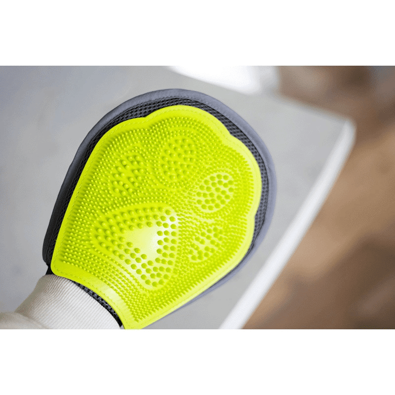 Pet Grooming Mitt
