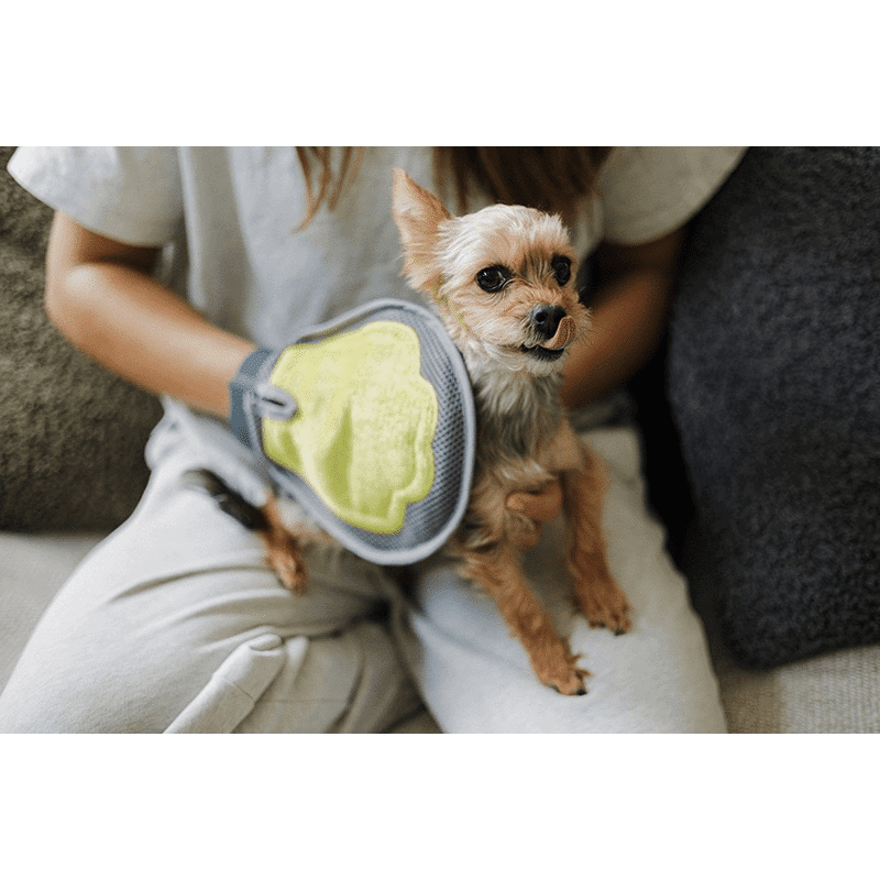Pet Grooming Mitt