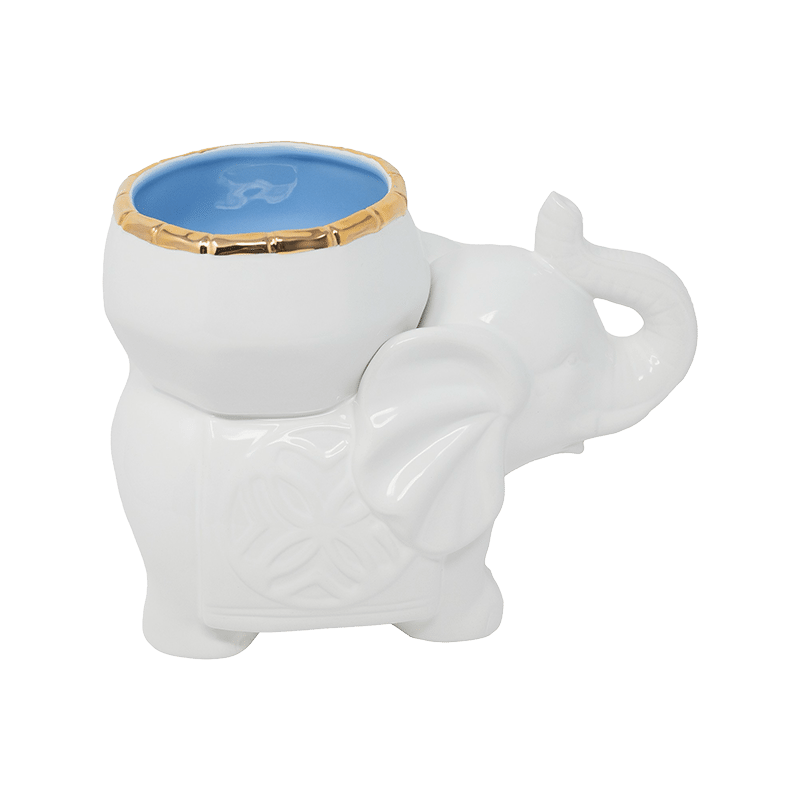 Ceramic Cachepot
