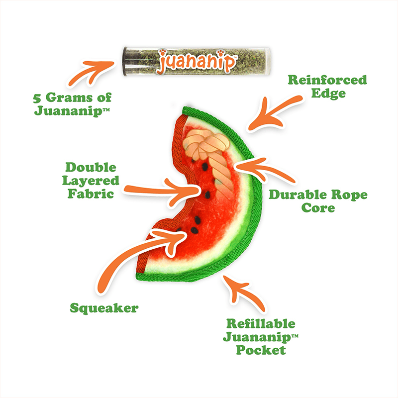 Tuffer Chewer Mini Watermelon Slice Refillable Dog Toy