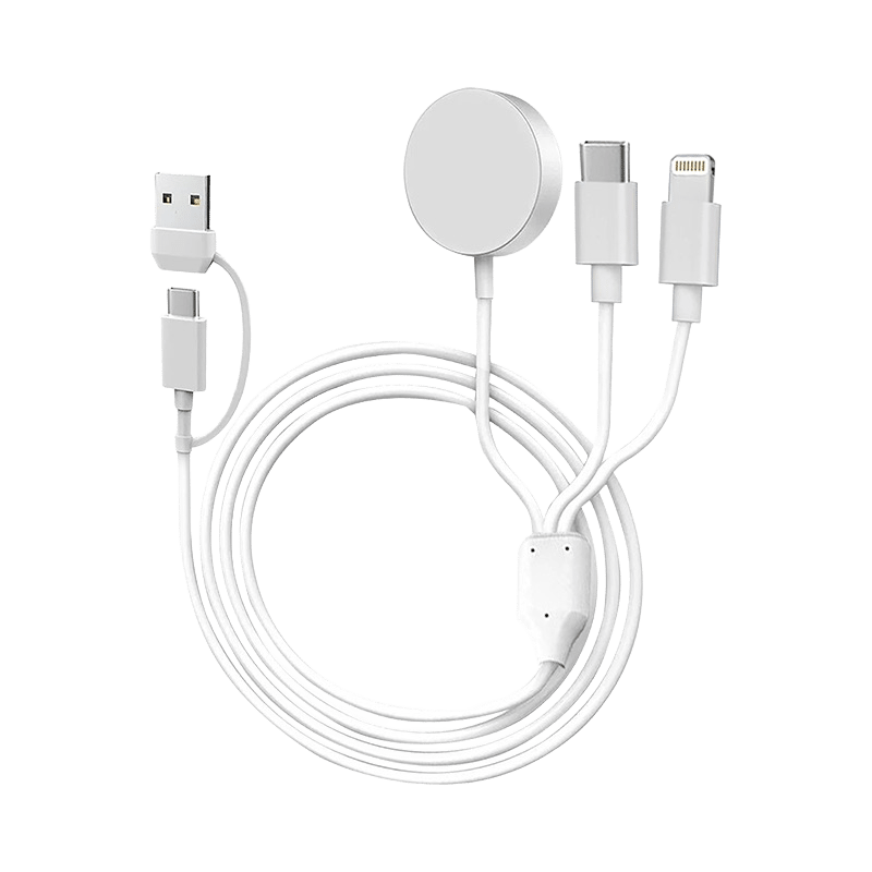 6-in-1 Multi-Charging Cable