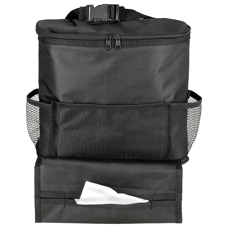 Backseat Organizer with Cooler