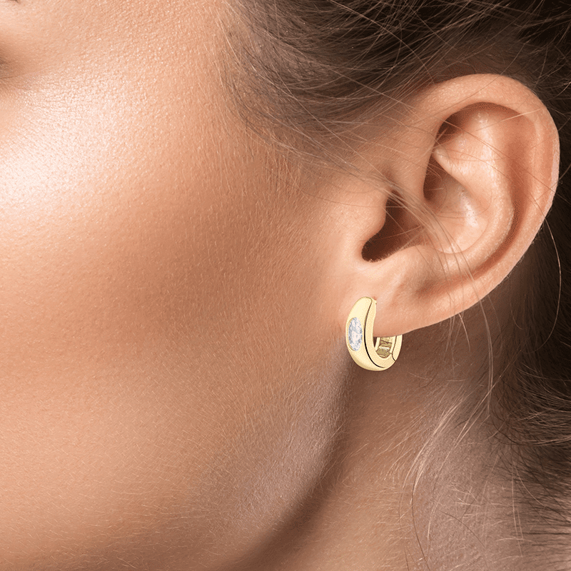 Oval Crystal Huggie Hoop Earrings