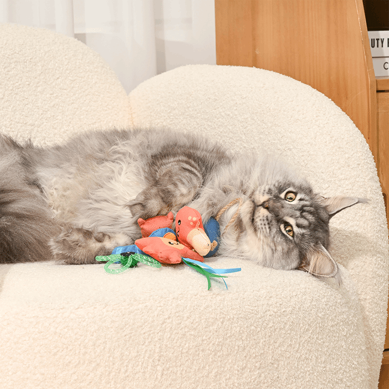Meow Camps Cat Toy Set