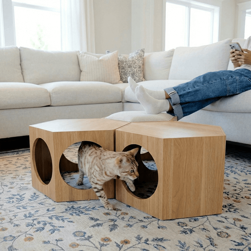 Suki Cat Stool & Shelf
