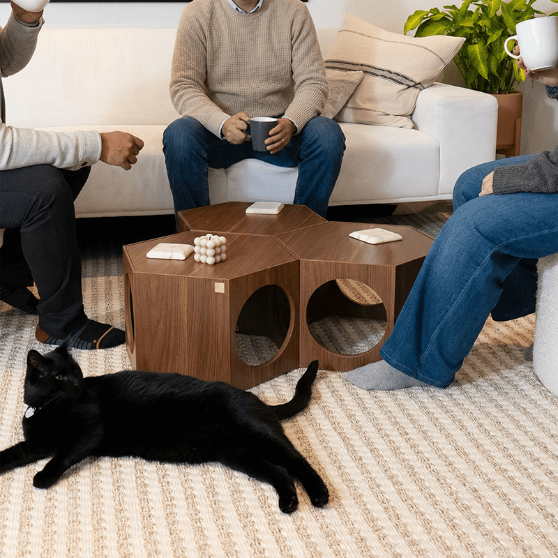Suki Cat Stool & Shelf