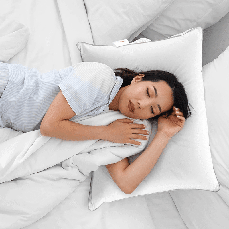 Down Alternative Pillows
