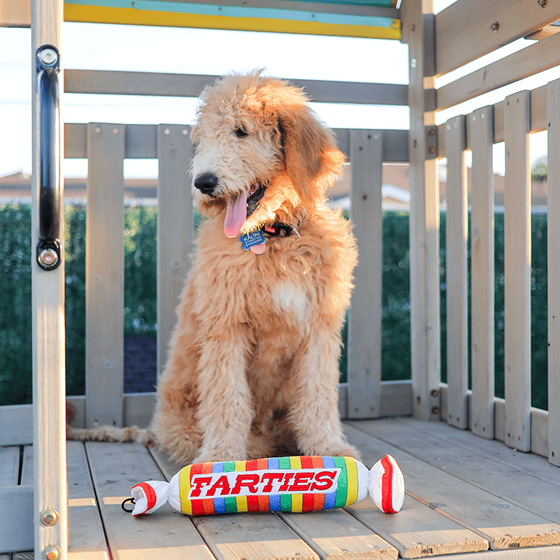 Farties Plush Dog Toy