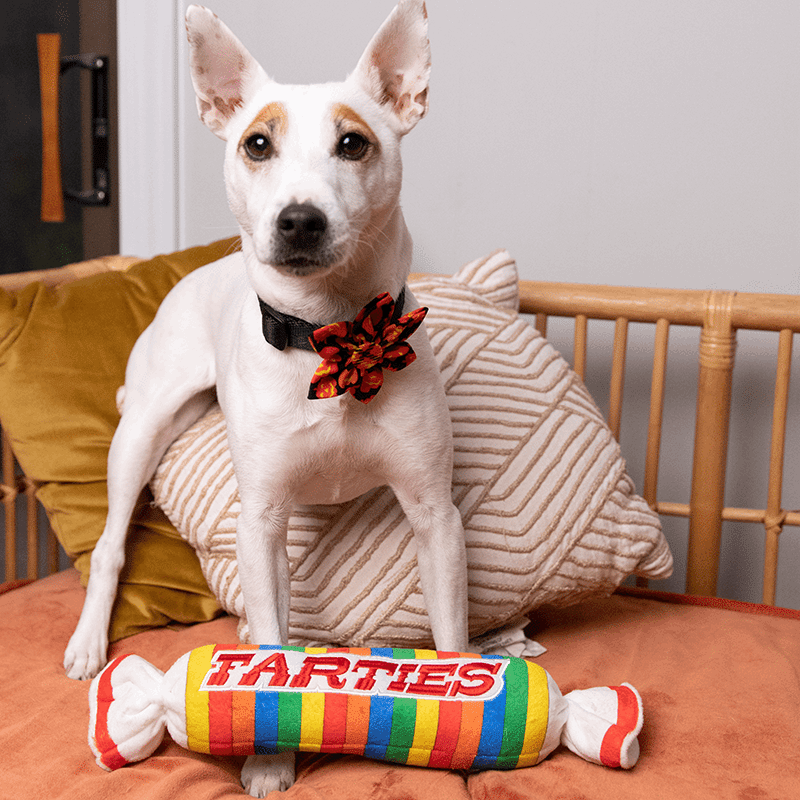 Farties Plush Dog Toy