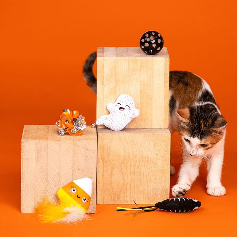 Sweet Treats, Spooky Feats Cat Toy Set