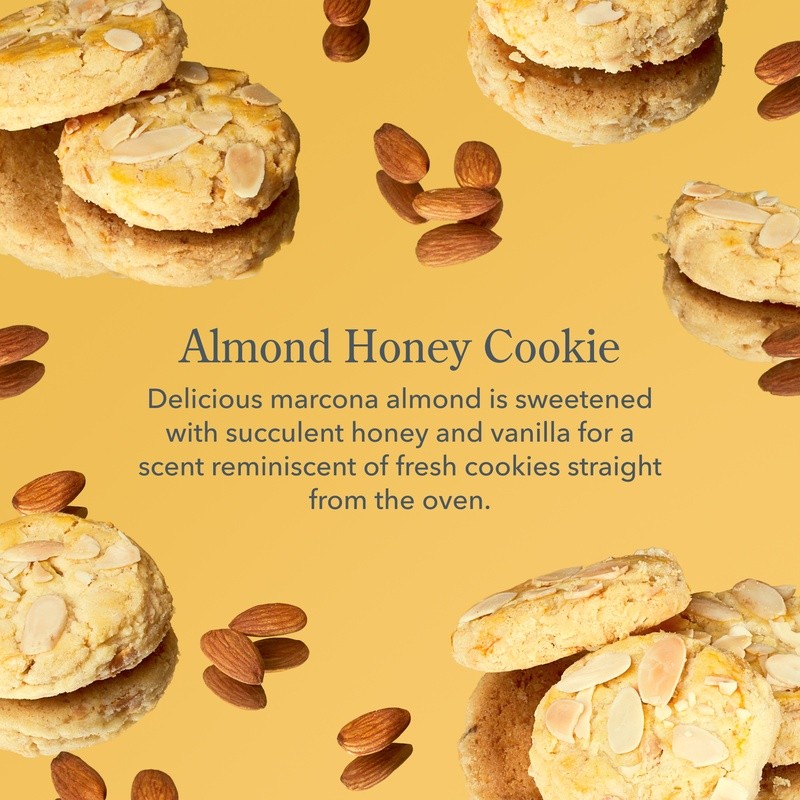 Almond Honey Cookie Lip Balm