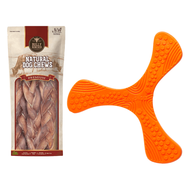 Play & Chew Pup Bundle