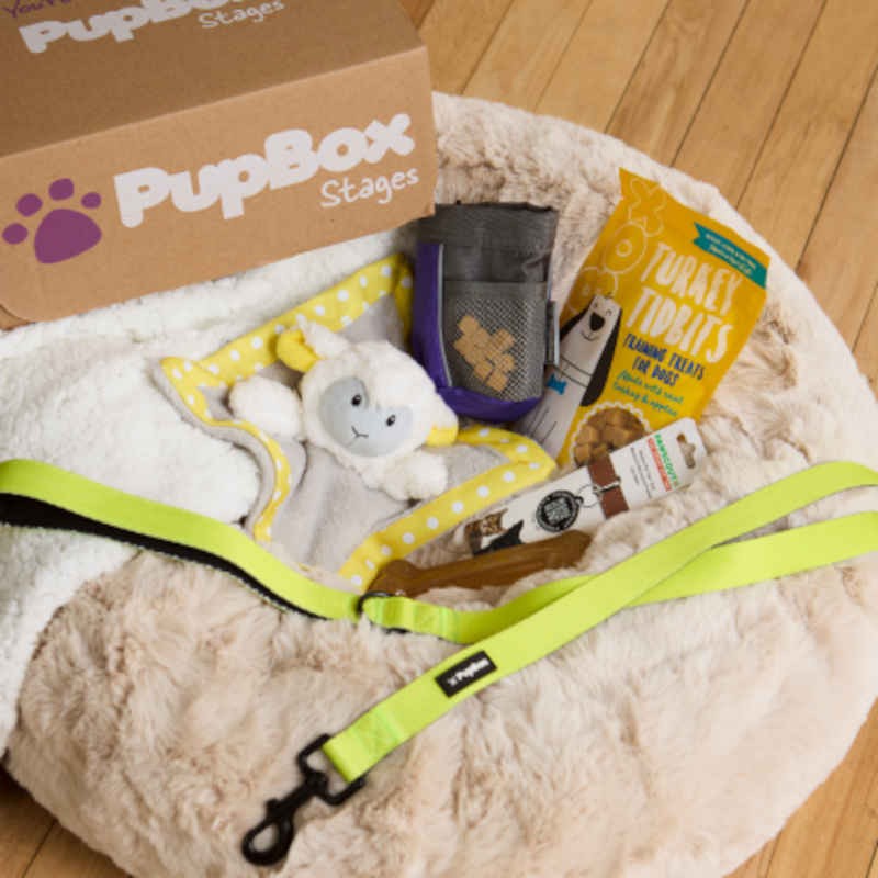 PupBox Edit