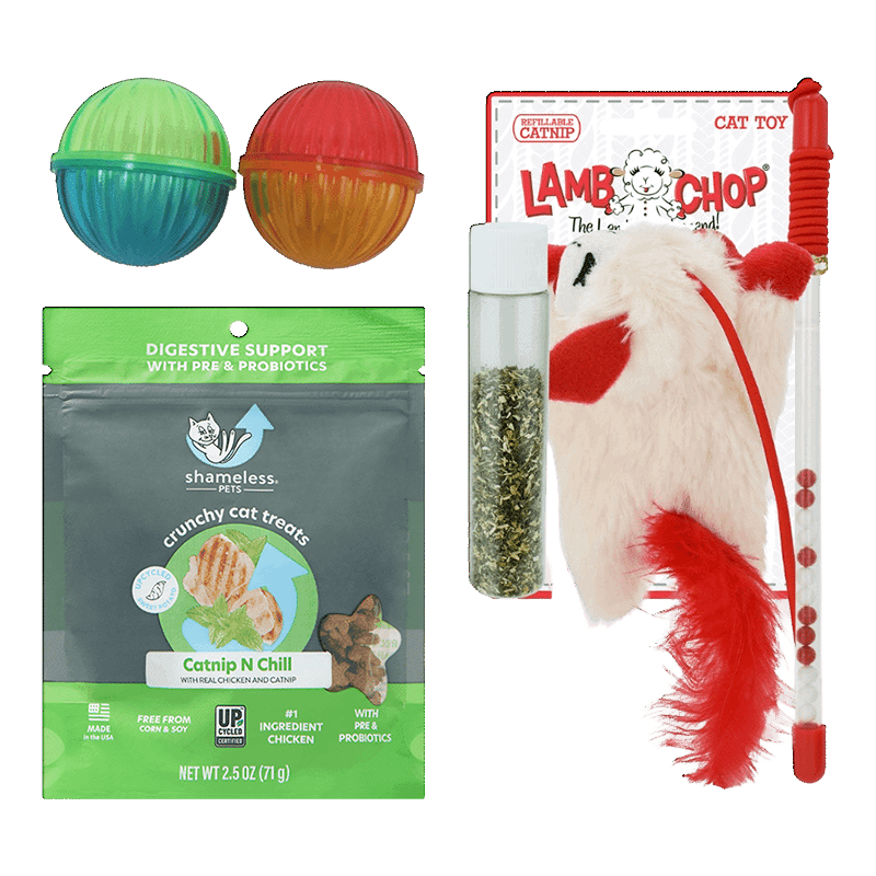 Purrfectly Playful Bundle