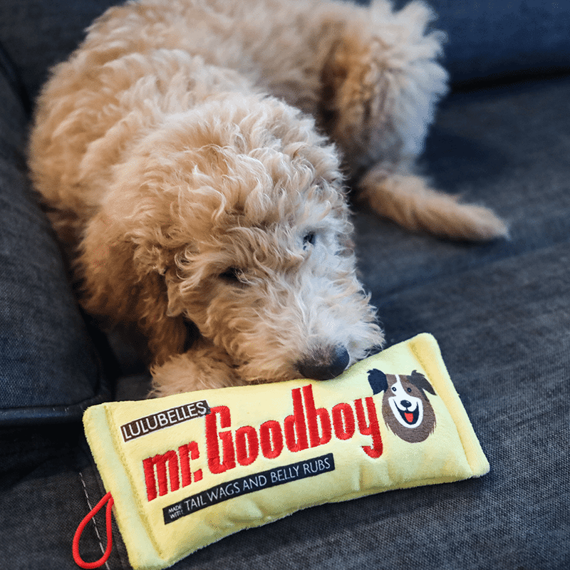 Mr. Goodboy Small Plush Dog Toy
