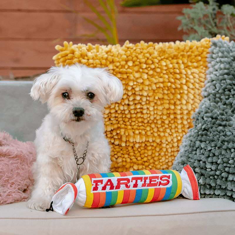Farties Plush Dog Toy