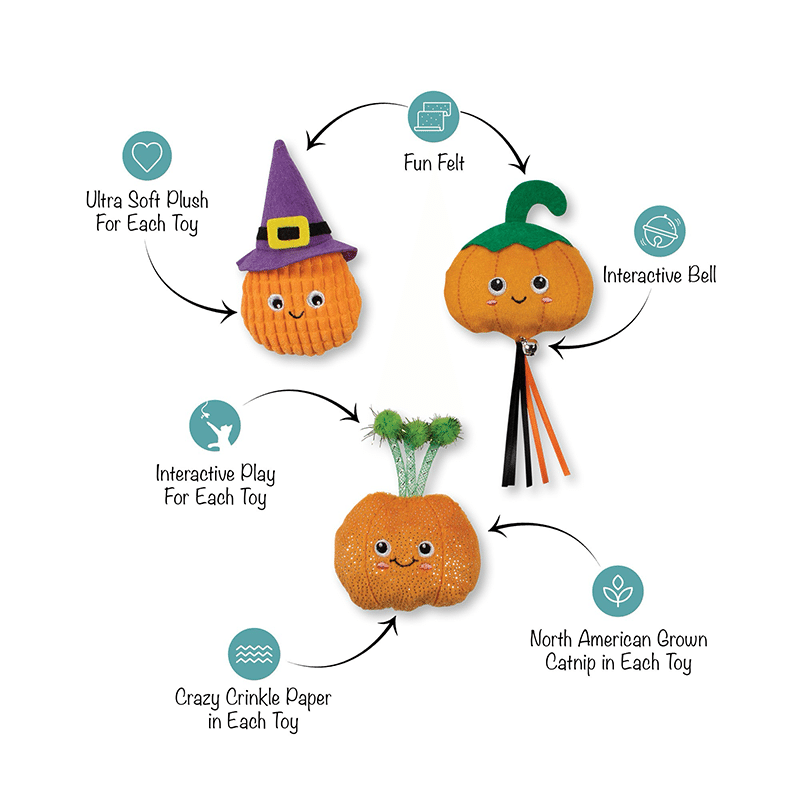 Witch Of The Patch Cat Toy Set