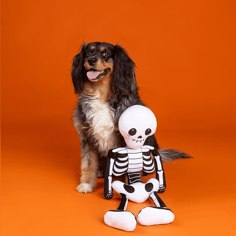 Bone To Be Wild Jumbo Dog Toy
