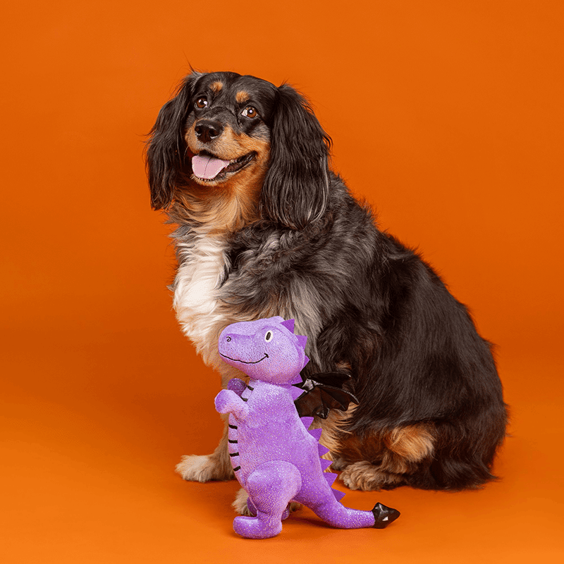 Don't Be A Drag On Plush Dog Toy