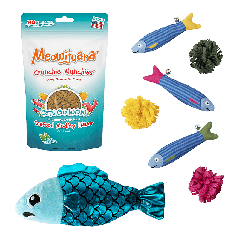 Sardine Squad Cat Bundle