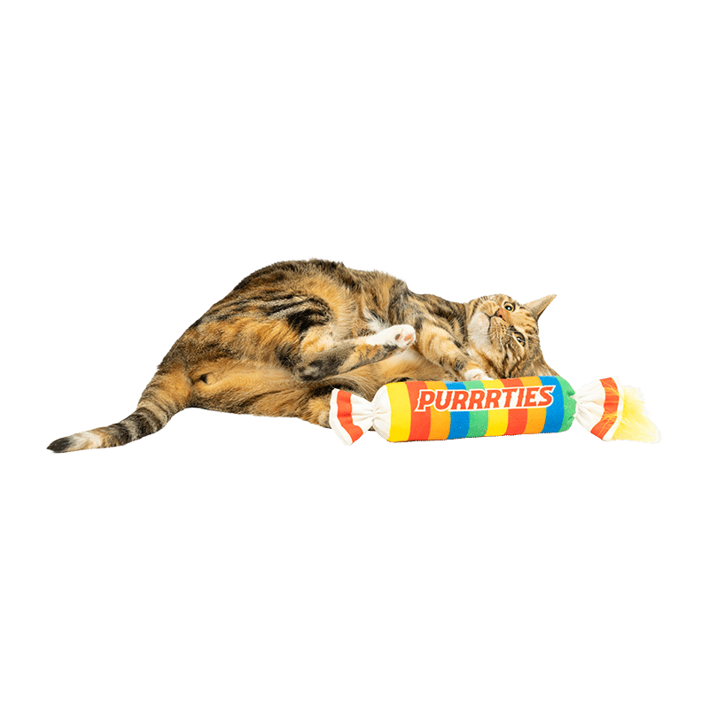 Purrrties Kicker Cat Toy