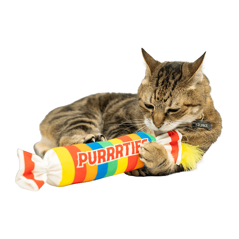 Purrrties Kicker Cat Toy