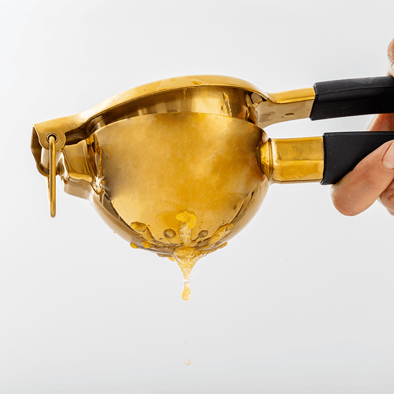 Gold Citrus Juicer