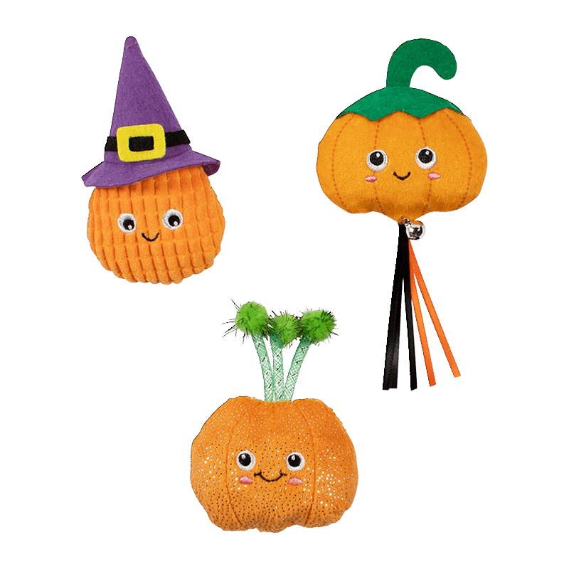 Witch Of The Patch Cat Toy Set