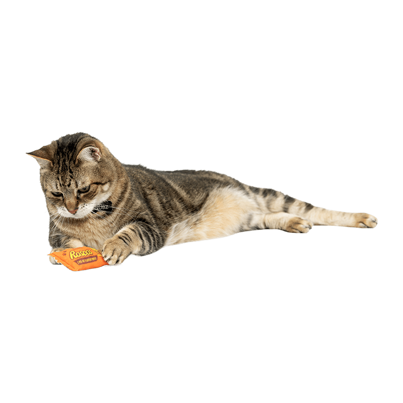 Roscos Fluffer Puffs Cat Toy