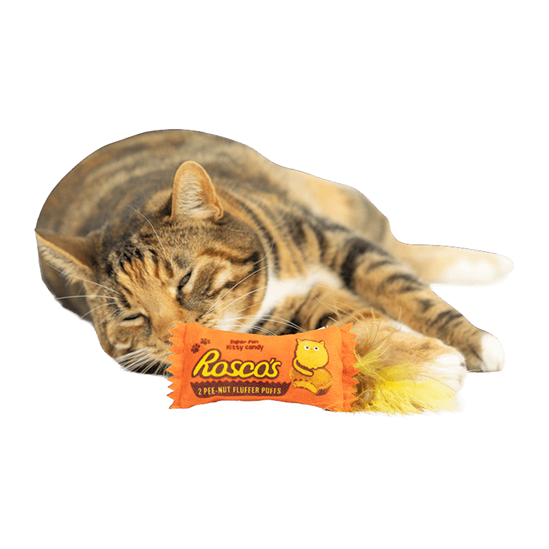 Roscos Fluffer Puffs Cat Toy
