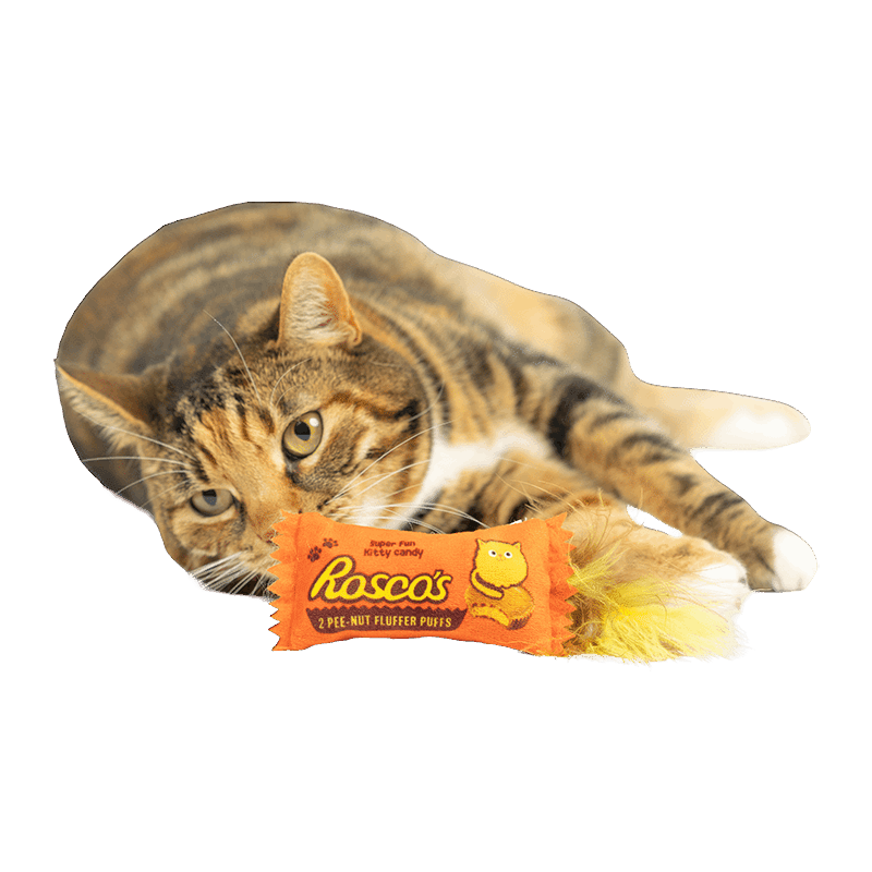 Roscos Fluffer Puffs Cat Toy