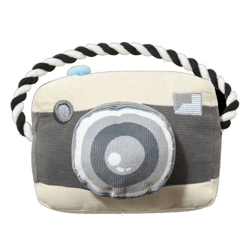DoggoCam Plush Dog Toy