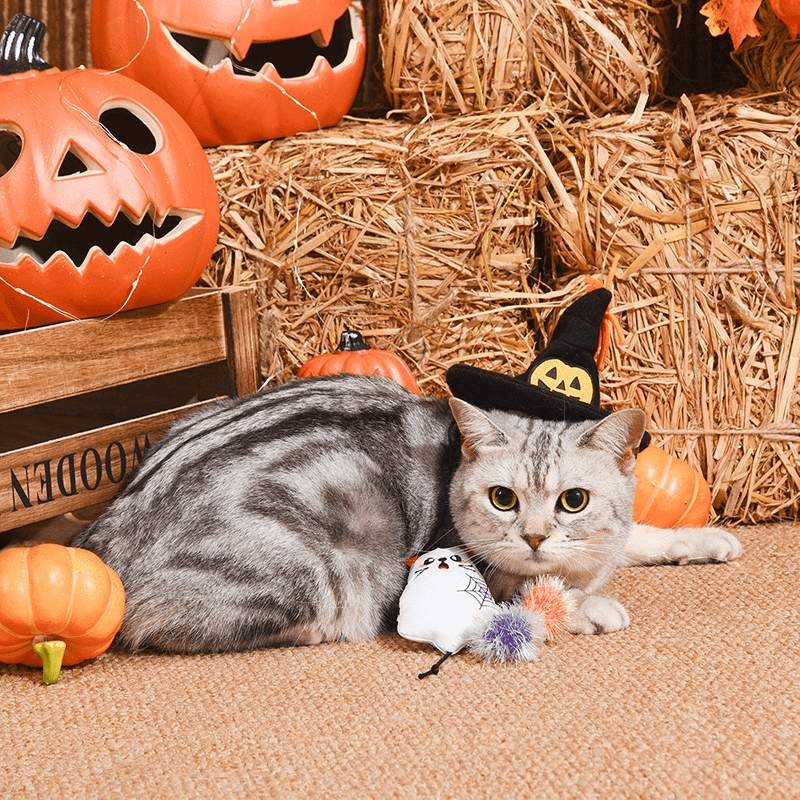 Ghost Kitty Cat Toy Set