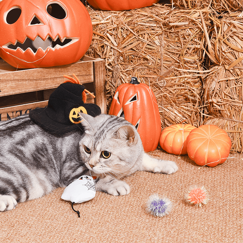 Ghost Kitty Cat Toy Set