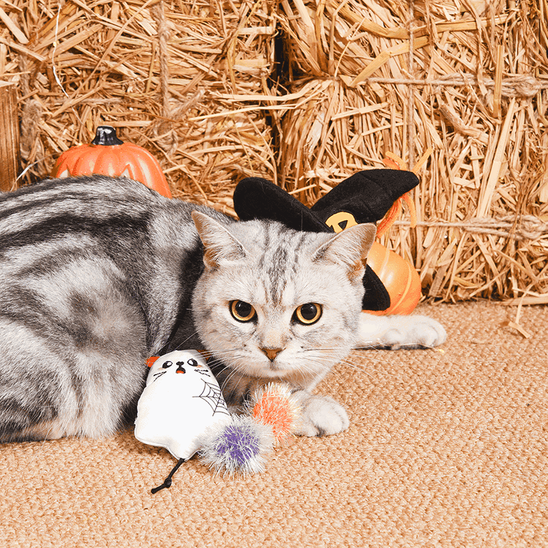 Ghost Kitty Cat Toy Set