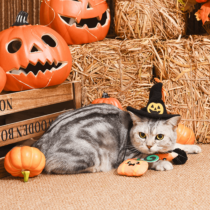 Candy Basket Cat Toy Set