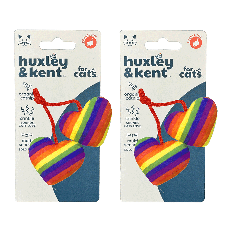 Rainbow Heart Strings Cat Toy Set of 2