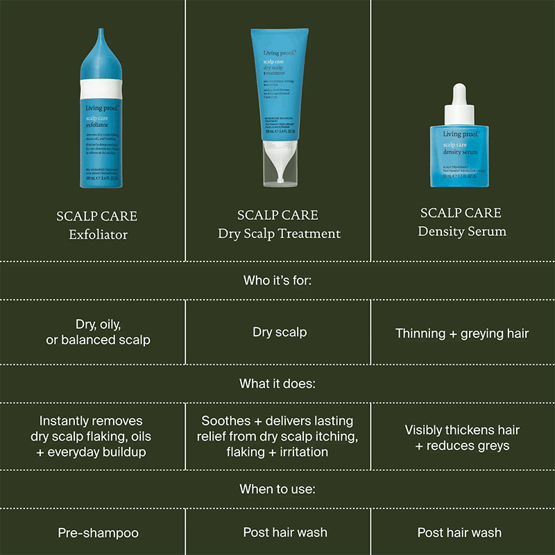 Scalp Care Dry Scalp Treatment