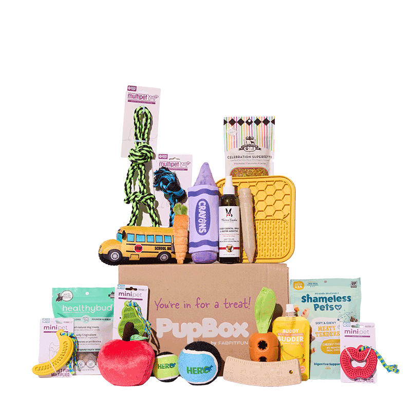 PupBox Edit