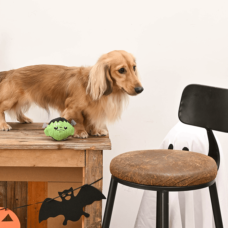 Frankenstien Covered Spike Dog Ball
