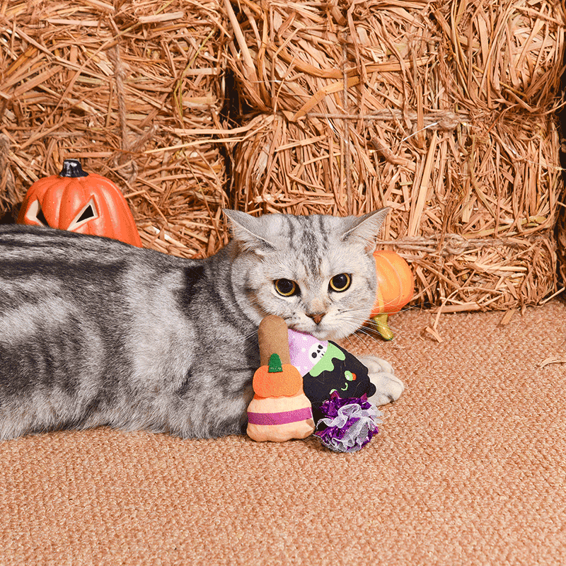 Witches Brew Cat Toy Set