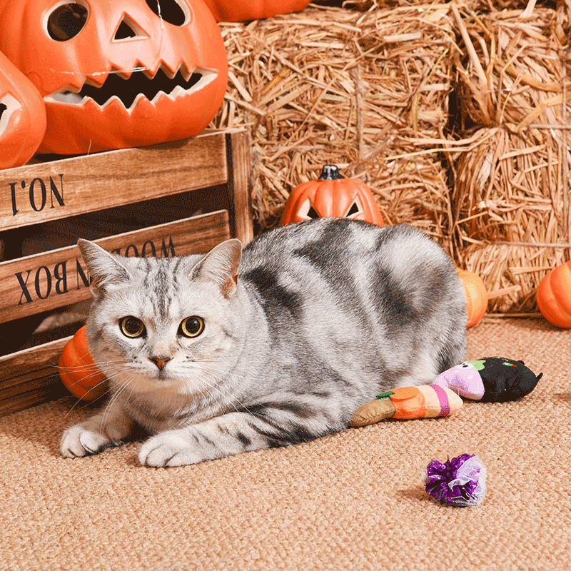 Witches Brew Cat Toy Set