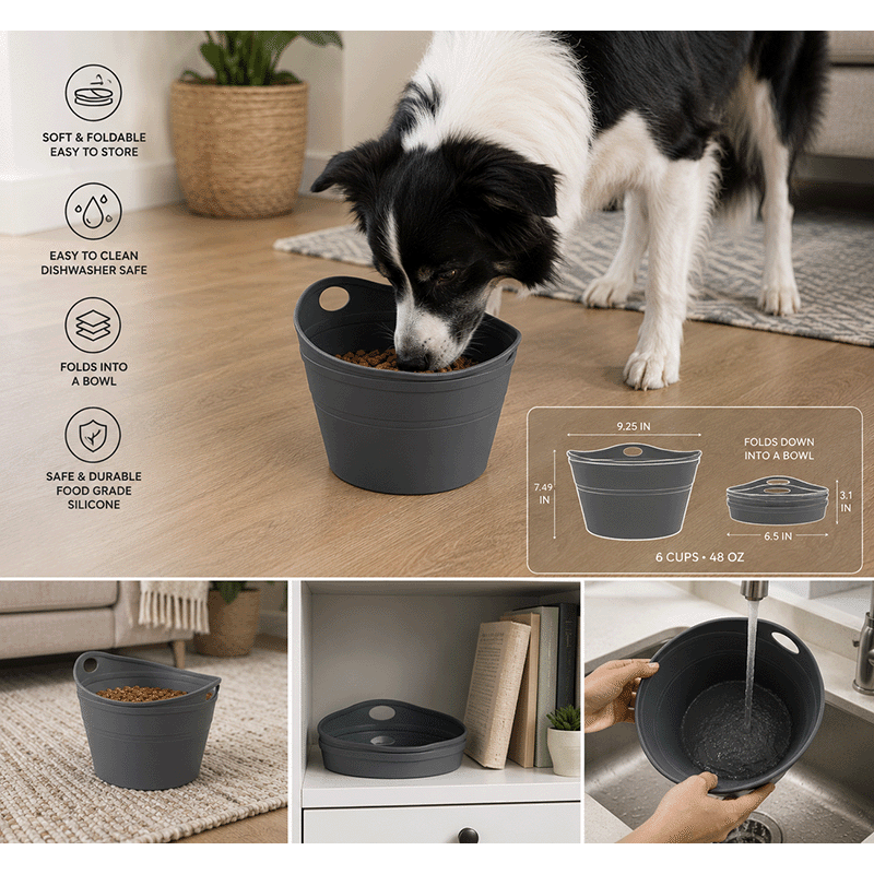 Foldable Storage Bag & Bowl (2 pack)