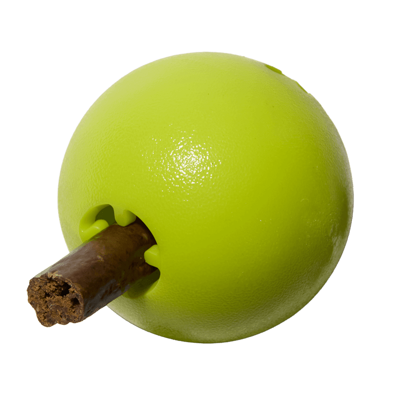 Chase N Chomp Skeleton TPR Ball