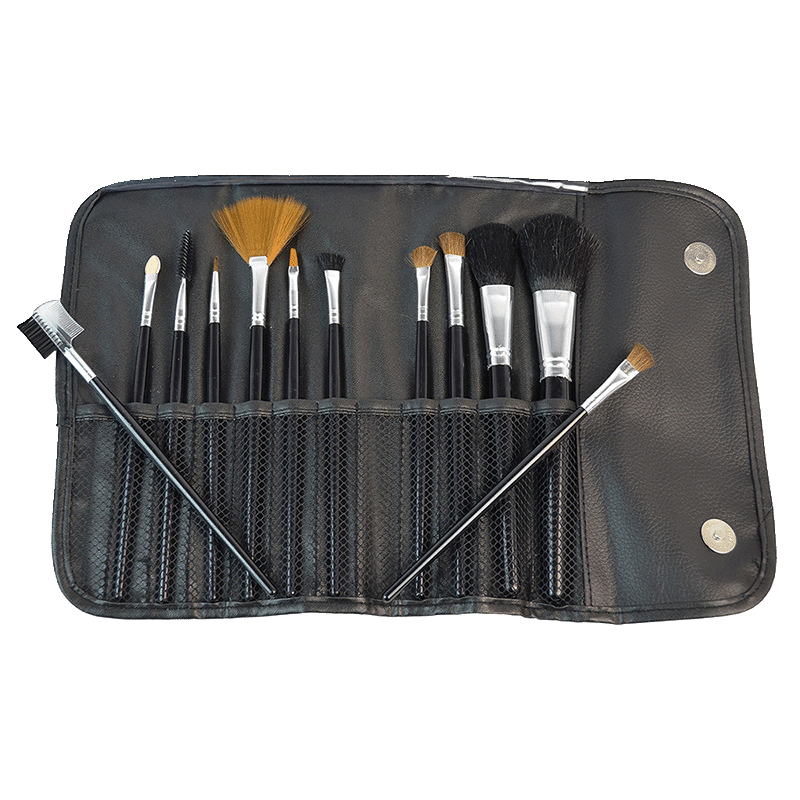 12 Piece Premium Makeup Brush Set