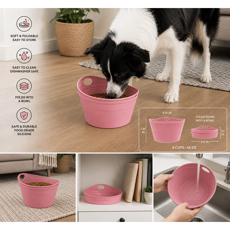 Foldable Storage Bag & Bowl (2 pack)