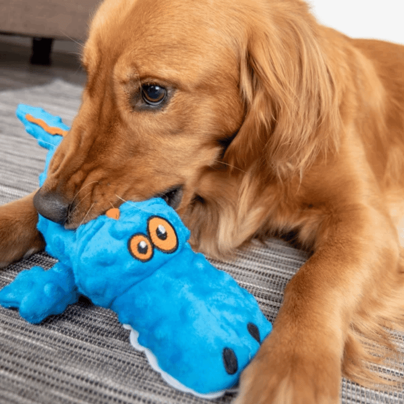 Gator Plush Dog Toy - Small
