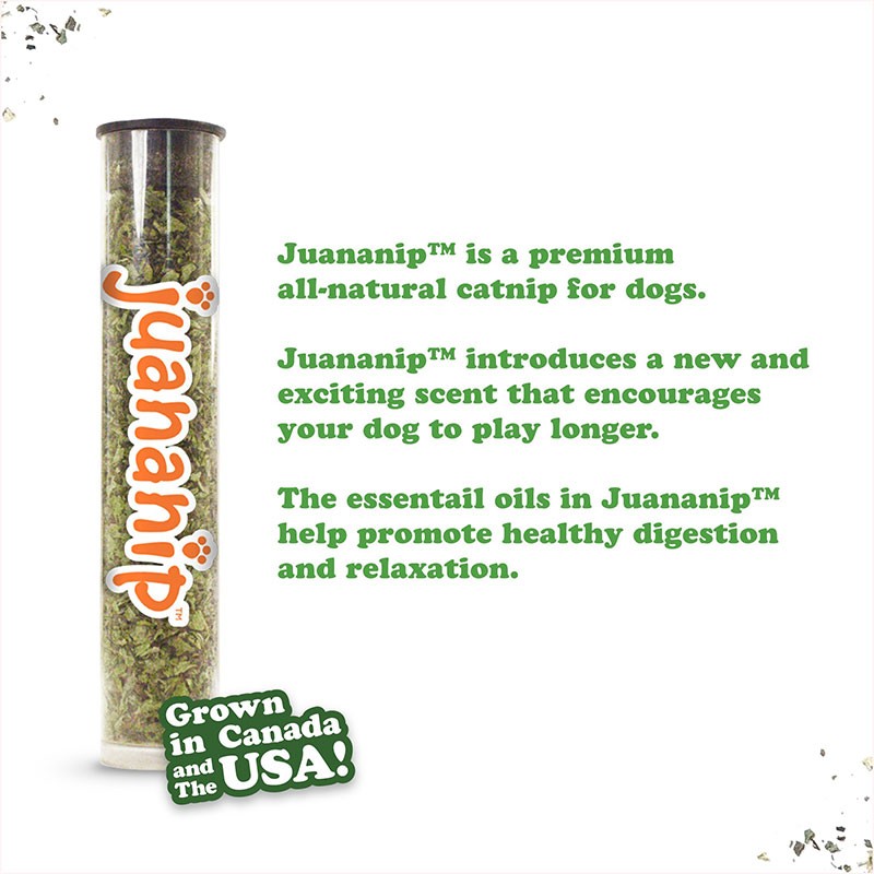 Tuffer Chewer Mini Refillable Dog Toy