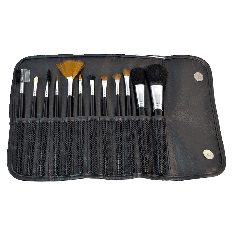 12 Piece Premium Makeup Brush Set